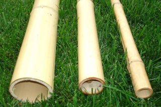 8ft long Bamboo poles (1in, 2in and 3in wide)