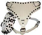 White Leather Dog Harness & Collar SET BLACK SPIKES Pit bull Bully 