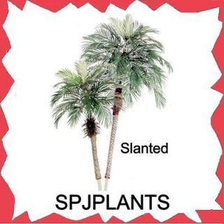 SILK ARTIFICIAL 7 foot + 4 foot PHOENIX PLANT PALM TREES date areca 