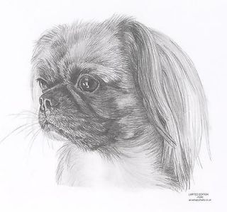  dog pencil drawing Limited Edition picture print by UK artist