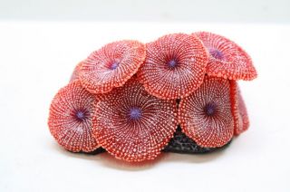 ANESH216   Artificial Sea Anemone Coral Decoration Aquarium Fish Tank 