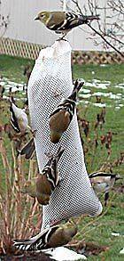 Small Nyjer Thistle Sock Finch Bird Feeder