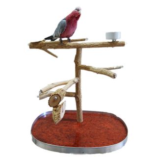 macaw stand in Bird Supplies