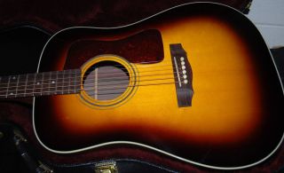 NEW Guild ® D 50 Standard Acoustic Guitar   Sunburst