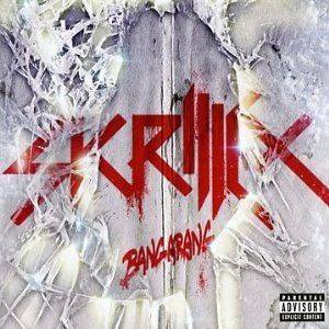 skrillex cd in CDs