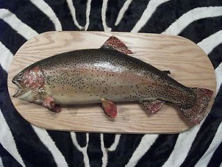 Life Size Rainbow Trout on Plaque, Excl, Home Decor, Fishing 