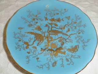 Coalport Saucer Cairo Gold Birds Insects Turquoise Blue Bone China 