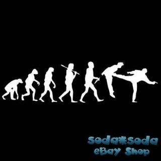 funny KUNG FU Fighting EVOLUTION T Shirt martial arts kick boxing 