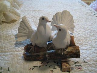 Capodimonte Visconti Mollica Pair of Doves on Perch