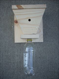 CARPENTER BEE TRAP   NO BAIT OR POISONS NEEDED  VERY EFFECTIVE