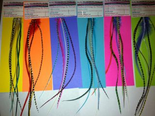 XL Salon Whiting Feather Hair Extensions CHOOSE FROM 6 BEAUTIFUL 