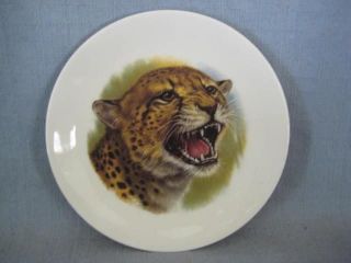 B2 Royal Schwabap Cheetah Plate