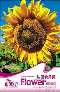  15 Sunflower Seed Popular Warm Edible Lovely Flower 