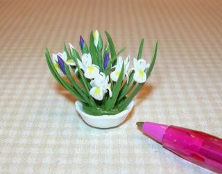 Miniature Tiny White Iris Arrangement in Porcelain Bowl DOLLHOUSE 
