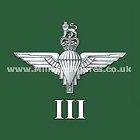 Parachute Regiment (1 Para)   Lapel & Tie Pin/Mugs/Coast​er/Keyring 