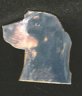 Dog Jewelry Blue Tick Coon Hound Pin Paper Mache **H