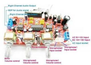 Karaoke sound board PT2399+NE5532 preamplifier microphone amplifier 