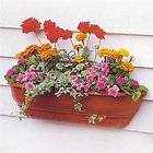 Bosmere F720 Self Watering Wall Planter