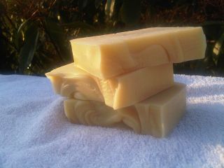   Naturally Natural Handmade Rosemary Tea Tree Shampoo Solid Bar Soap