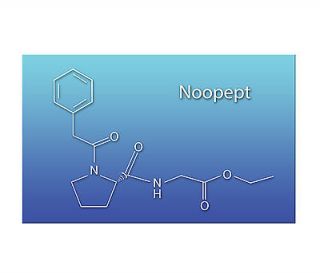 NootraBioLabs Noopept 5g Bulk Powder (1000 x stronger than Piracetam)