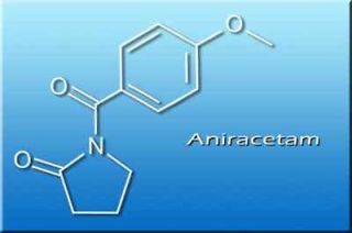 Aniracetam Bulk (8 x Piracetam) 30g $14.99 * * By 