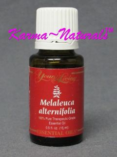 MELALEUCA ALTERNIFOLIA Young Living Essential Oil 15 ml Tea Tree