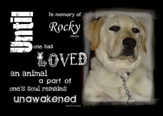 Pet Memorial Until one has loved an animal poem your pet photo dog 