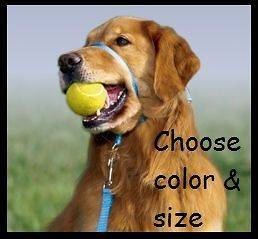 Pet Supplies  Dog Supplies  Training & Obedience  Training Leads 