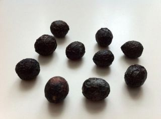 Bay Tree Seeds/Berries (Laurus Nobilis) Pack of 50