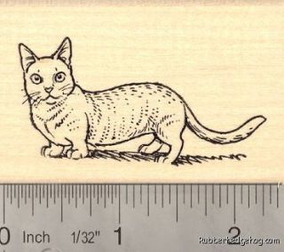Munchkin Cat Rubber Stamp H14016 WM