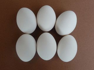 ceramic chicken nesting eggs