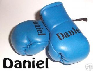 Baby Blue Mini Boxing Gloves printed with Boys names