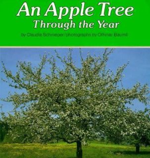 An Apple Tree Through the Year by Claudia Schnieper 1986, Paperback 