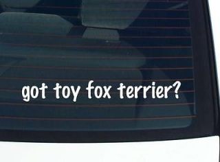 got toy fox terrier? DOG BREED DOGS FUNNY DECAL STICKER VINYL WALL CAR