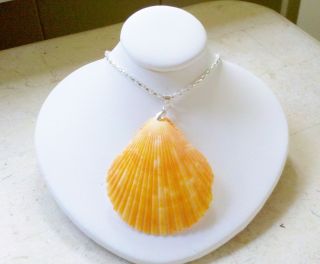 Orange Sunshine Color Sea Shell Necklace   Its the color of the 