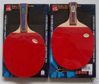 RITC729 Pips in Table Tennis Paddle RITC2040, New