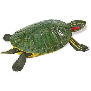 Safari LTD #269529 Red Earred Slider Turtle  Same Day * 