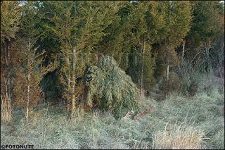 Hunting Paintball SNIPER GHILLIE SUIT Camo WOODLAND XXL a