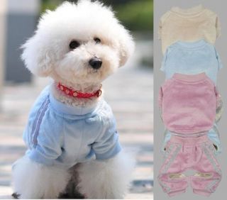 Pet Sports Clothing Dog Velour Suits clothes Coat and Pants Set 