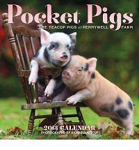 Pocket Pigs Calendar The Teacup Pigs of Pennywell Farm (2013)