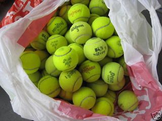 25 Used Tennis Balls, Dog Toys , ball machine, practice drills