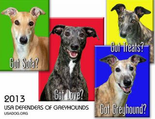 2013 USA Defenders of Greyhounds Wall Calendar, Greyhound Charity 