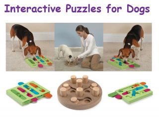 INTERACTIVE PUZZLES for DOGS   Treat Hiding Dog Toys   Great Bonding 