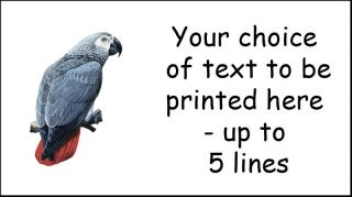 Birds / Parrots Personalised Craft Address Stickers Labels~ mini or 