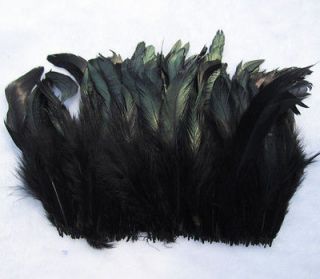 rooster feathers in Feathers