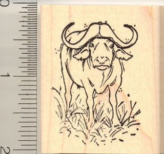 Cape Buffalo rubber stamp G11402 WM wildlife