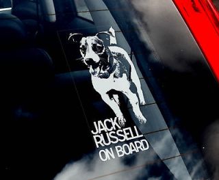 Jack Russell Terrier   Dog Car Sticker Sign   n.Collar