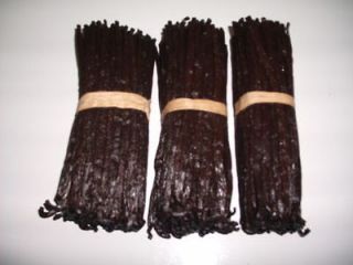 vanilla beans grade a in Spices, Seasonings & Extracts