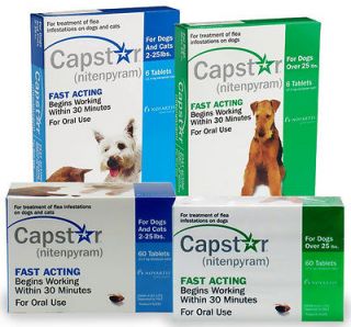   CAPSTAR BLUE SIX 6 TABLETS   PILLS GREAT EXP DATE 