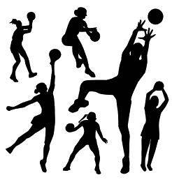 Netball Player Players Team Sport Silhouette Vinyl Wall Art Sticker 